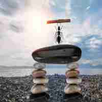 专﻿业​数﻿据​库‌优‌化‍方‌案﻿